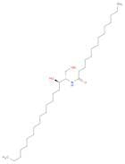 C14 Dihydroceramide