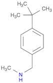 N-(4-tert-butylbenzyl)-N-methylamine