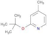2-(tert-Butoxy)-4-methylpyridine