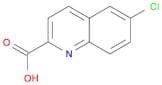 6-Chloroquinoline-2-carboxylic acid