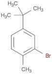 2-bromo-1-methyl-4-tert-butyl-benzene