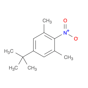 4-TERT-BUTYL-2,6-DIMETHYLNITROBENZENE