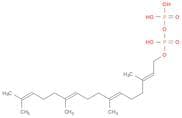 Geranylgeranyl Pyrophosphate