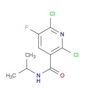 2,6-Dichloro-5-fluoro-N-isopropylnicotinamide