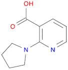 2-(pyrrolidin-1-yl)pyridine-3-carboxylic acid