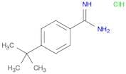 4-tert-Butylbenzenecarboximidamide hydrochloride