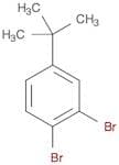 1 2-DIBROMO-4-TERT-BUTYLBENZENE  97