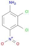 BENZENAMINE, 2,3-DICHLORO-4-NITRO-
