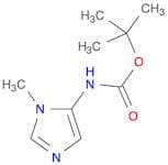 tert-butyl N-(1-methyl-1H-imidazol-5-yl)carbamate