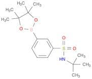 3-(tert-butylamino)sulfonyl-phenylboronic acid pinacol ester