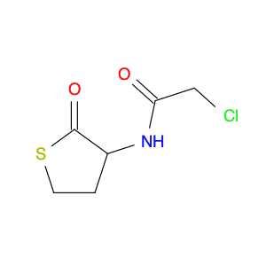 2-Chloro-N-(2-oxothiolan-3-yl)acetamide