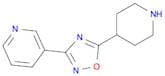 3-(5-Piperidin-4-yl-1,2,4-oxadiazol-3-yl)pyridine