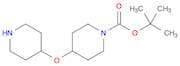 4-(PIPERIDIN-4-YLOXY)-PIPERIDINE-1-CARBOXYLIC ACID TERT-BUTYL ESTER