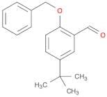 Benzaldehyde, 5-(1,1-diMethylethyl)-2-(phenylMethoxy)-