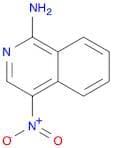 4-nitroisoquinolin-1-aMine