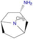 EXO-8-METHYL-3-AMINO-AZABICYCLO[3.2.1]OCTANE
