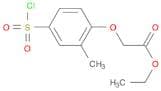 ETHYL [2-METHYL-3-(CHLOROSULFONYL)PHENOXY]ACETATE