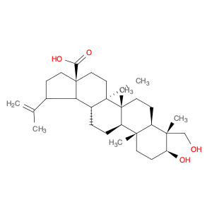 23-Hydroxybetulinic acid