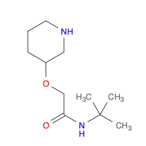 N-tert-butyl-2-(3-piperidinyloxy) acetamide