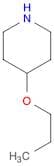 4-Propoxy-piperidine