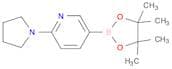 6-(Pyrrolidin-1-yl)pyridine-3-boronic acid, pinacol ester