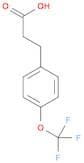 4-(Trifluoromethoxy)hydrocinnamic acid