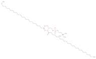 1,2-DILIGNOCEROYL-SN-GLYCERO-3-PHOSPHOCHOLINE