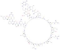 Atrial natriuretic peptide-28 (human reduced)