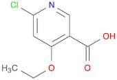6-Chloro-4-ethoxynicotinic acid