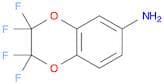2,2,3,3-Tetrafluoro-1,4-benzodioxin-6-amine