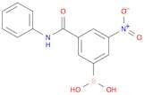 3-(Phenylaminocarbonyl)-5-nitrophenylboronic acid