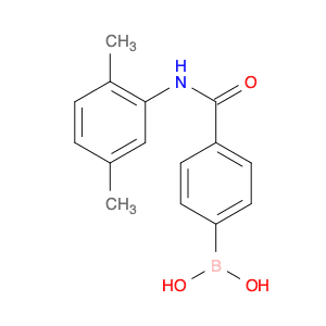 4-(2,5-Dimethylphenylcarbamoyl)phenylboronic acid