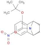 (1S,4R)-tert-butyl 6-nitro-1,2,3,4-tetrahydro-1,4-epiminonaphthalene-9-carboxylate