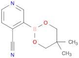 4-Cyanopyridine-3-boronic acid neopentyl glycol ester