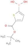 (5-(Tert-Butoxycarbonyl)Thiophen-2-Yl)Boronic Acid