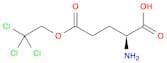 (S)-2-Amino-5-oxo-5-(2,2,2-trichloroethoxy)pentanoic acid