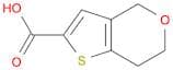 6,7-Dihydro-4H-thieno[3,2-c]pyran-2-carboxylic acid