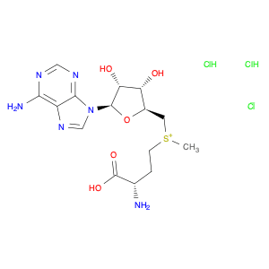 S-(5'-Adenosyl)-L-Methionine chloride dihydrochloride