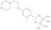 2-Fluoro-4-[2-(4-morpholinyl)ethyloxy]benzeneboronic acid pinacol ester