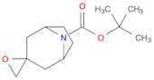 tert-butyl 8-azaspiro[bicyclo[3.2.1]octane-3,2'-oxirane]-8-carboxylate