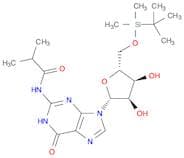 2'-TBDMS-ibu-rG