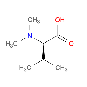 (R)-2-(Dimethylamino)-3-methylbutanoic acid