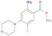Methyl 2-amino-5-fluoro-4-morpholinobenzoate