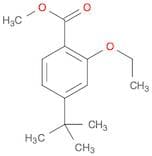 4-TERT-BUTYL-2-ETHOXY-BENZOIC ACID METHYL ESTER