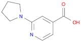 2-(Pyrrolidin-1-yl)isonicotinic acid