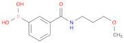 3-(3-Methoxypropylcarbamoyl)phenylboronic acid