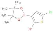 2-(2-Bromo-5-chlorothiophen-3-yl)-4,4,5,5-tetramethyl-1,3,2-dioxaborolane