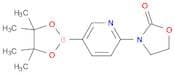 6-(2-Oxooxazolidin-3-yl)pyridine-3-boronic acid pinacol ester