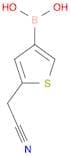 5-(Cyanomethyl)thiophen-3-ylboronic acid