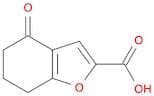 4-oxo-6,7-dihydro-5H-1-benzofuran-2-carboxylic acid